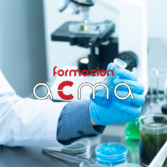 cursos formación bolsa oposiciones sas baremo