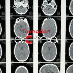 Cursos medicina nuclear cfc bolsa oposiciones