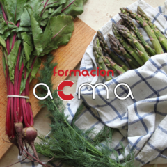 formacion acma cursos baremables