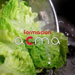 formacion acma cursos baremables