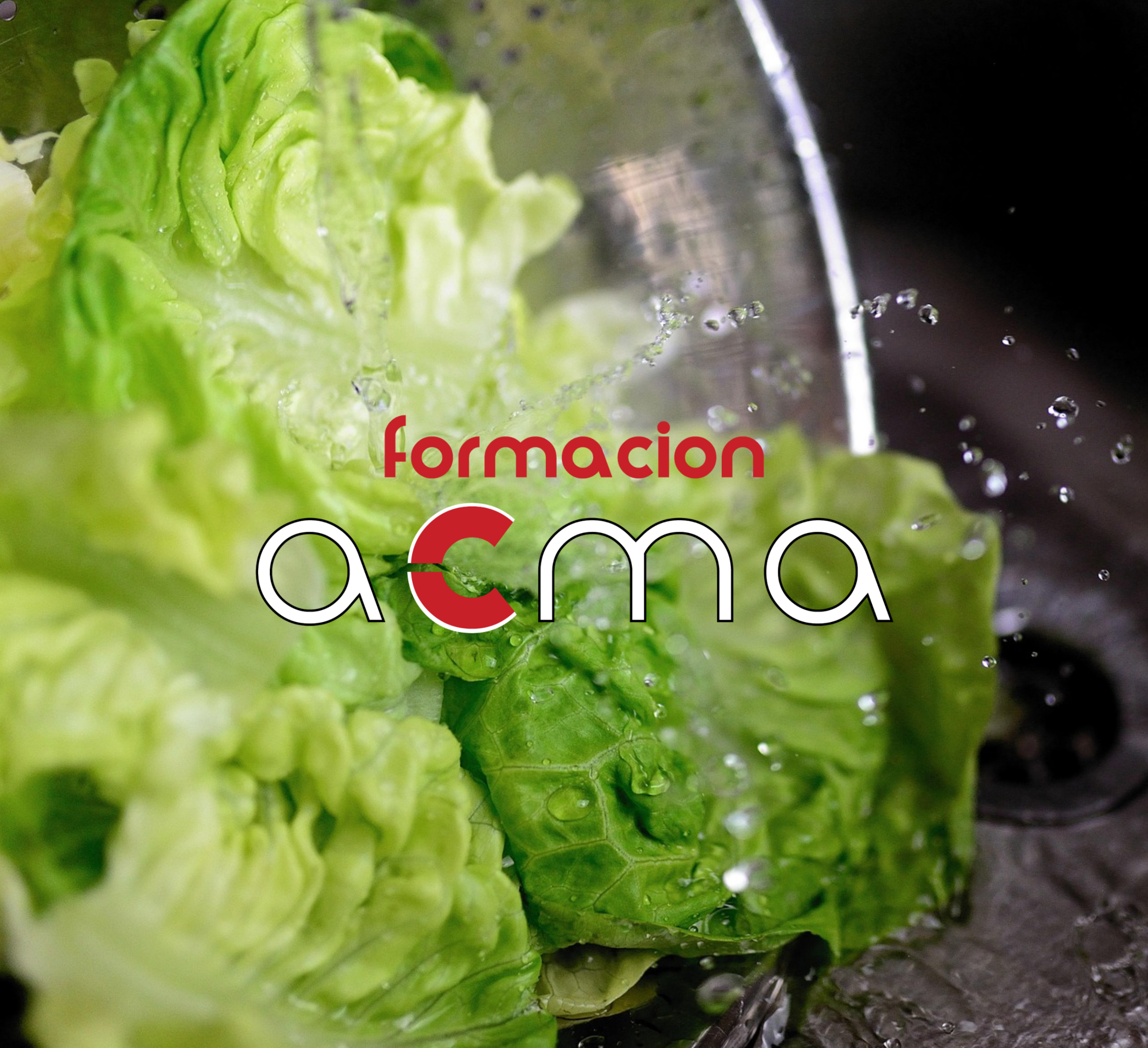 formacion acma cursos baremables