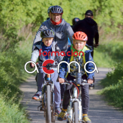 formacion acma cursos monitor