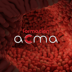 formación acma cursos técnicos en anatomía patológica cfc créditos